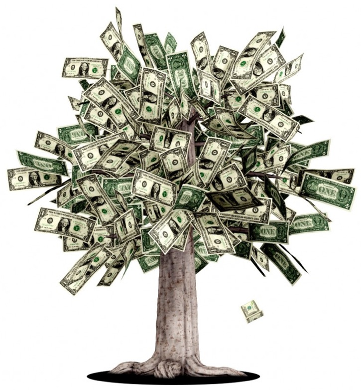 dollar-money-tree.jpg